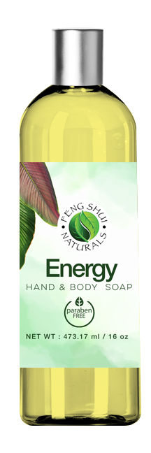 Energy Body Cleansing Gel
