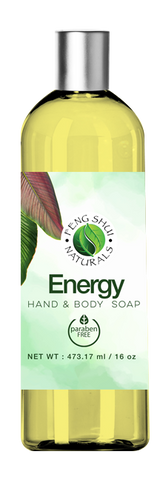 Energy Body Cleansing Gel